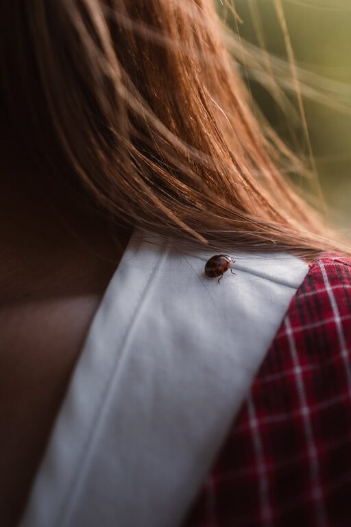 Refresh Your Mind: Mindful Breaks You Can Take in Five Minutes